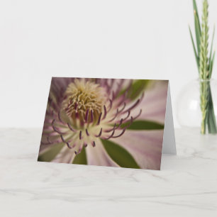 Roze Clematis Wenskaart Kaart