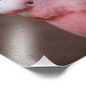 Roze Cockato Foto Afdruk (Hoek)