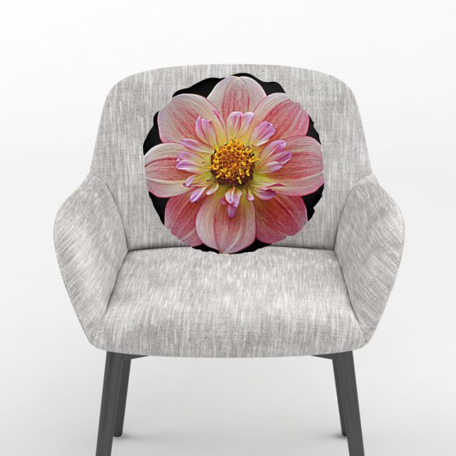Roze Collarette Dahlia op Black Floral Rond Kussen (In Situ Chair)