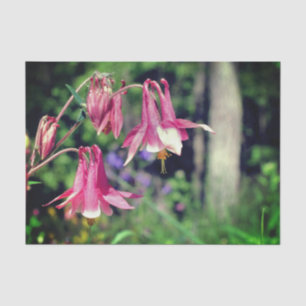 Roze Columbine Flowers Close Up Decoupage Tissuepapier