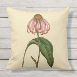 Roze Coneflower Botanical Outdoor Pillow 20 x 20 i Buitenkussen