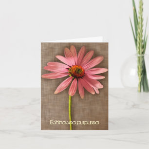 Roze Coneflower Echinacea purpurea Dank u wel Bedankkaart