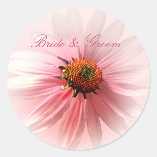 Roze ConeFlower Sticker (Voorkant)