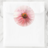 Roze ConeFlower Sticker (Tas)