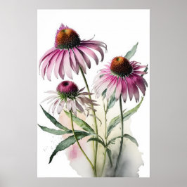 Roze Coneflowers Art Print Poster
