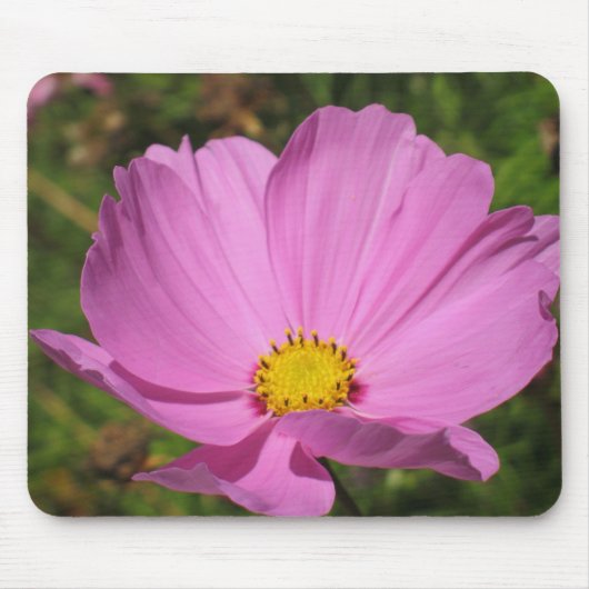 Roze Cosmo Mousepad Muismat (Voorkant)