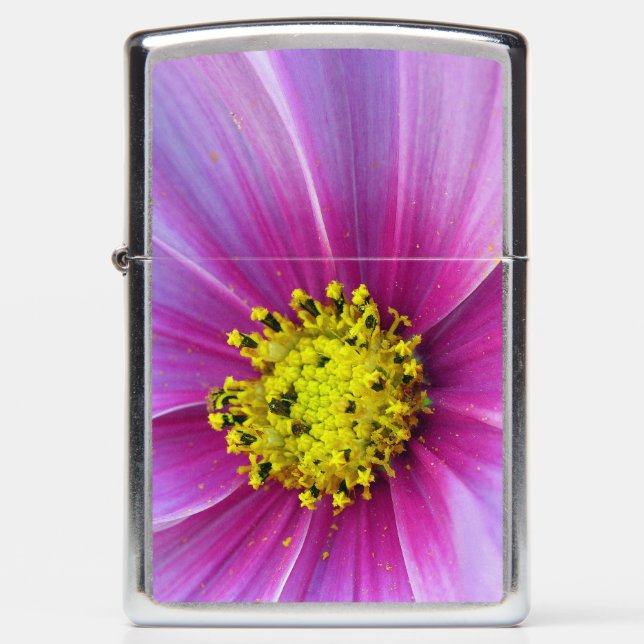 Roze Cosmos (Voorkant)