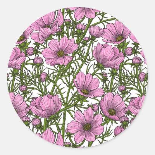 Roze Cosmos bloemen Ronde Sticker (Voorkant)