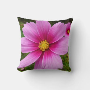 Roze Cosmos Bloemen Wilde Bloem Kussen