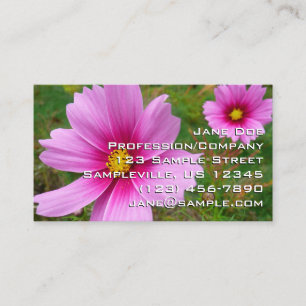 Roze Cosmos Bloemen Wilde Bloem Visitekaartje