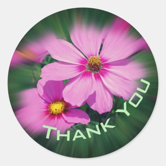 Roze Cosmos Flower Hartelijk dank Ronde Sticker (Voorkant)