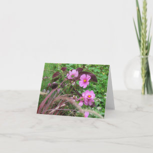 Roze Cosmos met Coleus Kaart