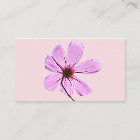 Roze Cosmos Visitekaartje (Achterkant)
