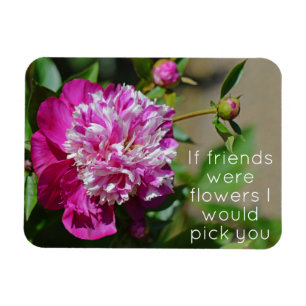 Roze Cottage Peony Flower Friend Magneet