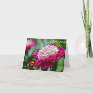 Roze Cottage Peony Flower Happy Birthday Kaart