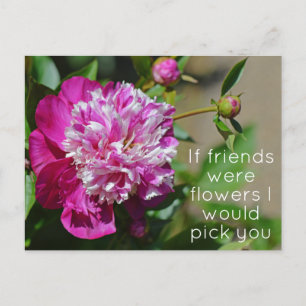 Roze Cottage Peony Flower Pun Briefkaart