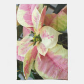 Roze Cream Poinsettia Theedoek (Verticaal)