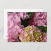 Roze Crème Hydrangeas geel roze groen bloemig Briefkaart (Voorkant / Achterkant)