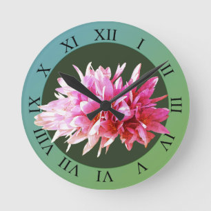 Roze Crocus Flowers Blossom Ronde Klok