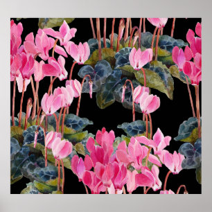 Roze Cyclamen: donkere bloemige Waterverf Poster