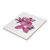 Roze Cymbidium Orchids Tile Tegeltje (Zijkant)