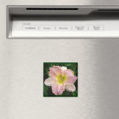 Roze Dag Lily Het heeft tanden vierkant 2x2 magnee Magneet (Insitu (Vaatwasser))