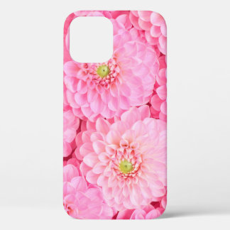 Roze dahlia bloemen achtergrond. Bovenste uitzicht iPhone 12 Hoesje