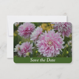 Roze Dahlia Bloemen bij RHS Garden Verrassing Verj Save The Date