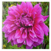 Roze Dahlia Ceramic Tile Tegeltje (Voorkant)
