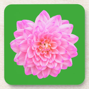Roze Dahlia drankonderzetter van Jo Afbeeldingen Bier Onderzetter