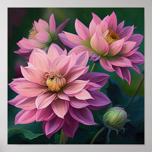 Roze Dahlia Flowers Art Print Poster (Voorkant)