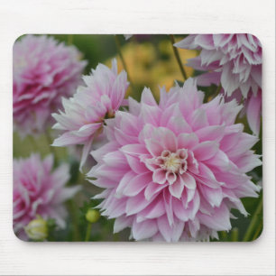 Roze Dahlia Flowers op RHS Garden Wisley Muismat