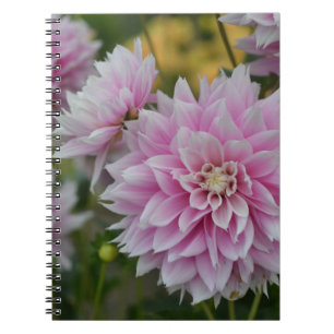 Roze Dahlia Flowers op RHS Garden Wisley Notitieboek
