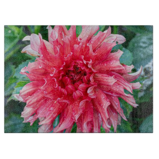 Roze Dahlia fotografie, Canadese bloem Snijplank (Voorkant)
