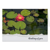Roze Dahlia in Lily Pads (Voorkant Horizontaal)