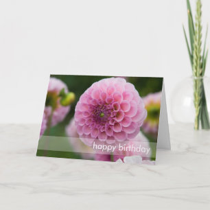 Roze Dahlia Kaart