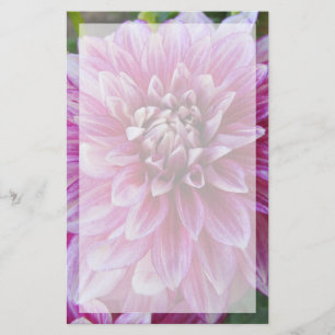Roze Dahlia met rand Briefpapier