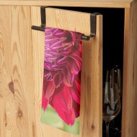 Roze Dahlia, mooie bloem fotografie