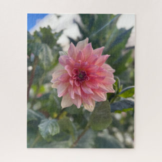 Roze Dahlia, Palo Alto Legpuzzel