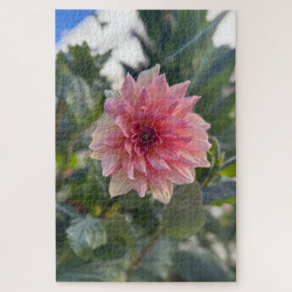 Roze Dahlia, Palo Alto Legpuzzel