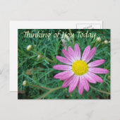  roze Daisy Briefkaart (Voorkant / Achterkant)