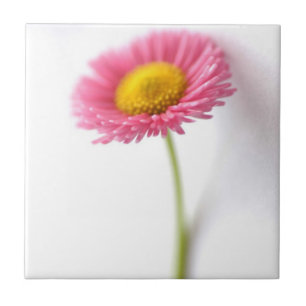 Roze Daisy Ceramic Tile Tegeltje