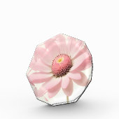 Roze Daisy Floral Design Fotoblokken (Links)
