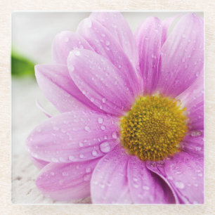 Roze Daisy Flower Glass Onderzetter