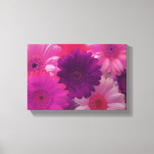 Roze Daisy Flower Photo Canvas Wall Art afdrukken