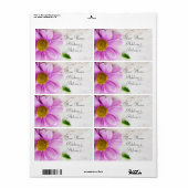 Roze Daisy Flower Shipping Labels (Full Sheet)