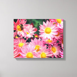 Roze Daisy Flowers en Bumble Bee Canvas Afdruk