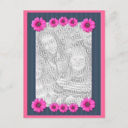 Roze Daisy Flowers Foto Briefkaart (Voorkant)