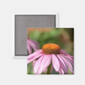 Roze Daisy Magnet Magneet (Voorkant / Achterkant)