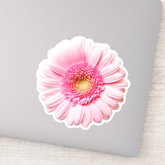 Roze Daisy Sticker (Detail)